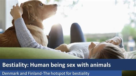 animal movie sex|New Bestiality Videos